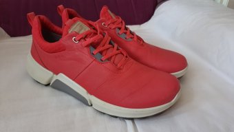 ADIDASI ECCO BIOM H4 GORETEX